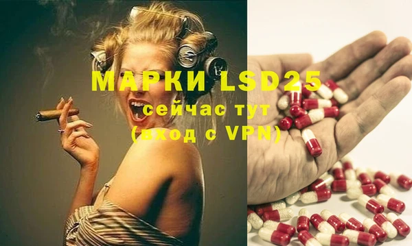 дмт Аркадак