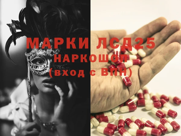 дмт Аркадак