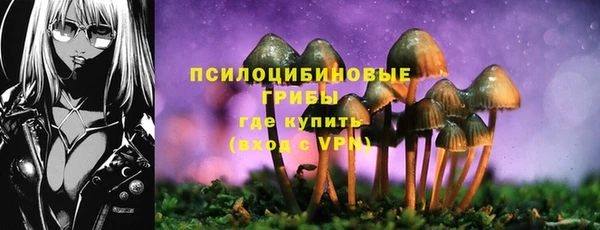 гашиш Арсеньев